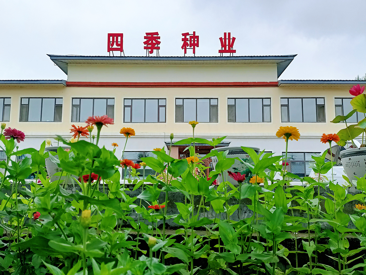 未标题-31.jpg