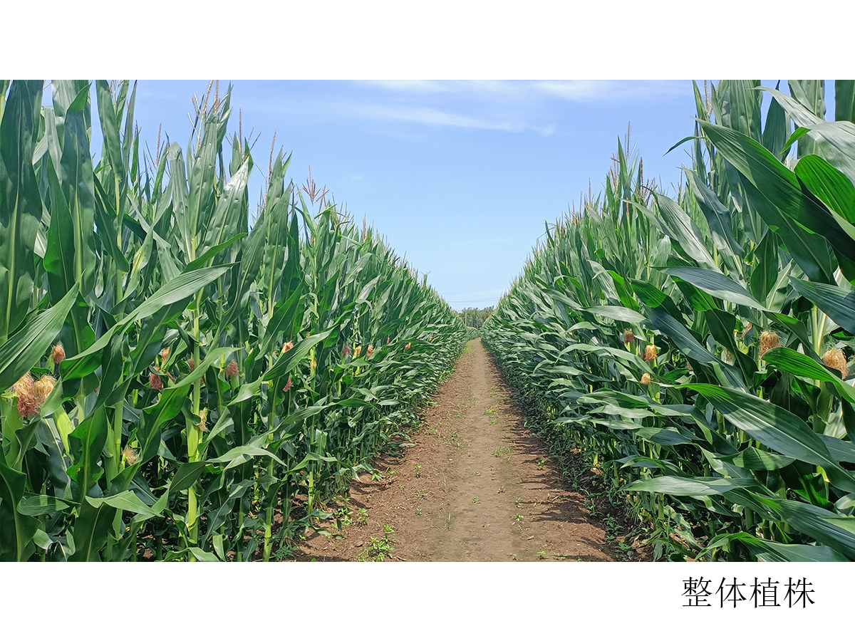 未标题-3.jpg